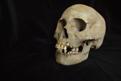Ancient DNA rewrites plague history after deadly outbreaks found in Siberia 5,500 years ago