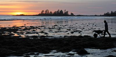 Seaweed farming offers benefits, but regulatory gaps pose ecological risks