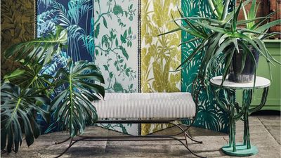 This Common Houseplant Mistake Stops Soil From Absorbing Water – Luckily, It’s Easy to Fix