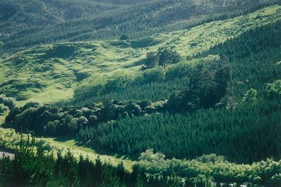 Major Treaty case over return of Crown land heads to top court