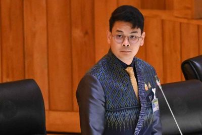 Govt presses ahead with fraught AI plan