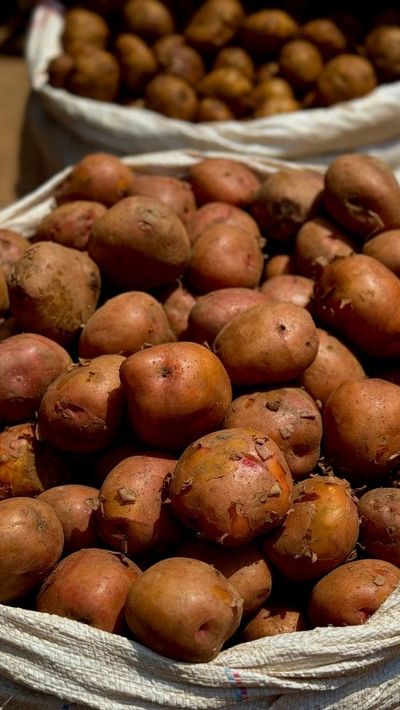 6 Bulk Buys That Spoil Before You Can Eat Them