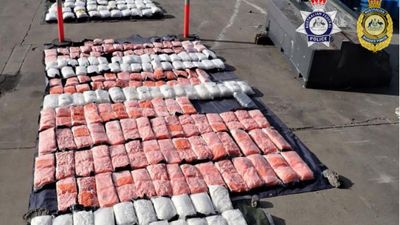 Alleged $830m meth schemer flees after police release