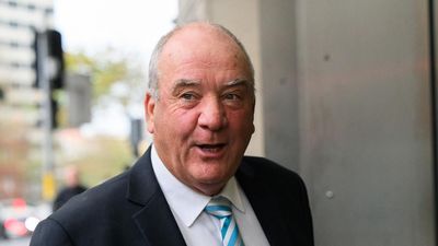 Ex-Liberal MP had 'no clue' about Chinese visa fraud