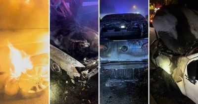 Up in flames: detectives investigate link between spate of suspicious fires
