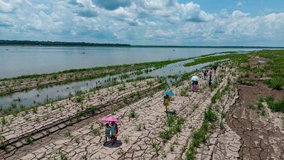 Severe drought, energy shortages and food insecurity: What El Niño could mean for Europe this year
