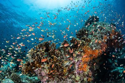 Climate change, pollution push oceans to tipping point, UN report says