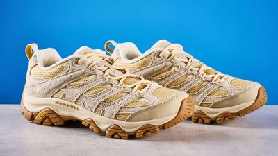 I walked 316,000 steps in the Merrell Moab 3, and they’re some of the comfiest hiking shoes I’ve ever worn