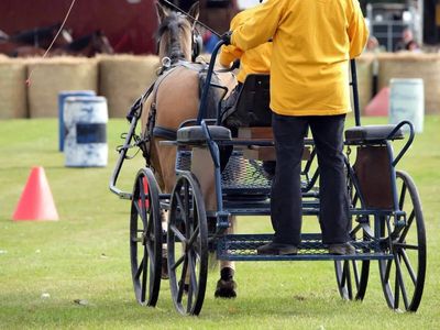 Indian teenager dies in horse carriage accident during his first trip to New York City