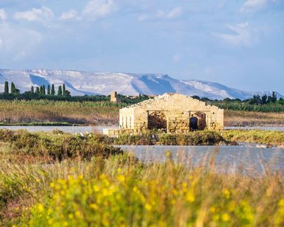 Pink flamingos and shimmering lemon groves: exploring Sicily’s Vendicari nature reserve