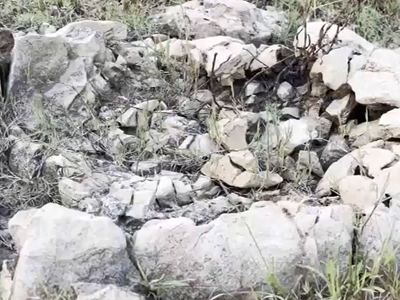 15-million-year-old Asura Hadda (demon bones) found in Odisha's Baripada during college field trip. Here's everything we know