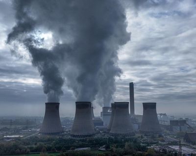 Drax cleared after investigation into sourcing of wood pellets