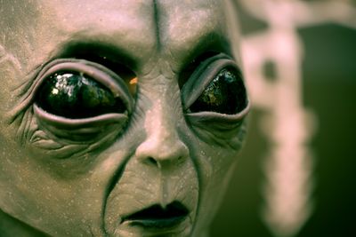 UFO Expert Says People 'Have Been Ready', Demands Government To 'Show The Alien'
