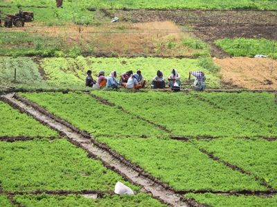 El Nino fear pushes farmers in Srikakulam and Vizianagaram towards water-saving paddy methods