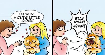 40 Hilariously Accurate Comics By This Artist That Perfectly Capture Life With A Pomeranian