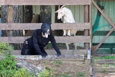 Man dressed up as black bear ‘attacks’ Japanese school in bizarre safety drill