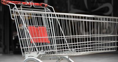 Council Enforcement Officer's Abuse of Power: Woman Fined £150 For 'Littering' After Single Kale Leaf Left in Trolley