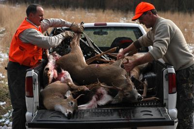 Science Advances Study: Deer with No CWD Symptoms Still Carry Infectious Prions — and They Can Spread to Other Species