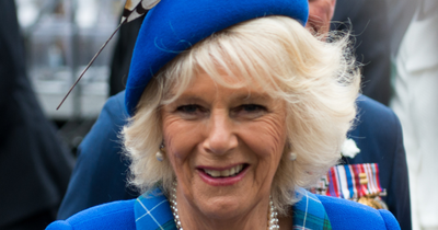 Queen Camilla's 'Unsavory' Protocol Error Caught on Camera, Invoking Bitter Princess Diana and Meghan Markle Compares