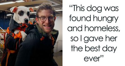 This Content Creator Carries Shelter Dogs Around NYC In A Backpack To Help Them Get Adopted