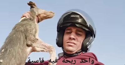 Influencer Faces Jail Time After Horrifying Video Shows Them Skinning and Eating a Dog for Social Media Views