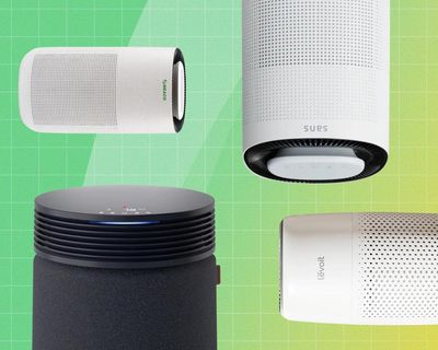 The best air purifiers in the UK to cleanse your home of fumes, pollen and dust – tested