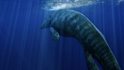 Kansas Boy on a School Field Trip Spots Something Protruding From a Quarry, and It Turns Out to Be a Prehistoric Monster