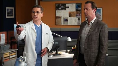 ‘I’ve Heard A Lot Of Complaints.’ NCIS’ Producer Finally Explained Why The Squad Walls Are So Orange