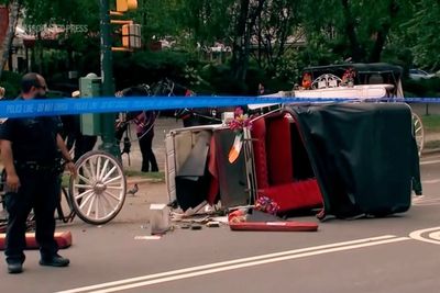 Tourist’s death reignites calls to ban horse-drawn carriages in Central Park