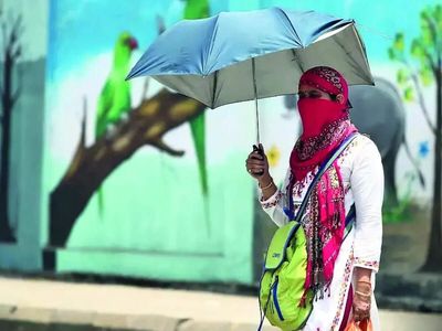 Put a freeze on extreme heat: Why India needs more than just heatwave warnings