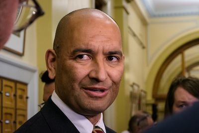 Labour asks for comfort, Potaka asks for trust in preserving public land