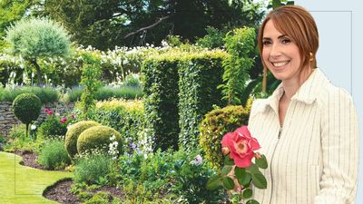 Alex Jones faces an unexpected gardening dilemma while planning her dream kitchen – experts say acting now could do more harm than good