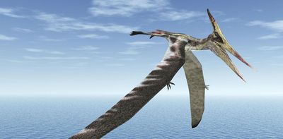Microbes destroyed an ancient pterosaur’s wingbone, then preserved it for 100 million years