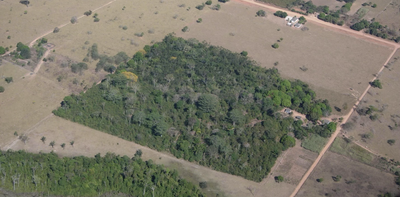 Small forest fragments can protect more birds when the surrounding landscape is more helpful