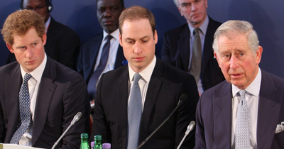 Prince Harry's Reconciliation Bid With King Charles Sparks Questions About His Real Motives