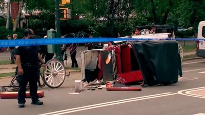 New York mayor Zohran Mamdani pushes to end horse carriage industry after Indian teen Romanch Mahajan's death