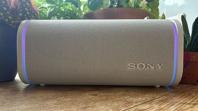 How I fell in love with a speaker that's too good for me