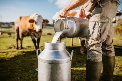 Got milk? Climate change may be hurting both the quality and quantity of America’s supply