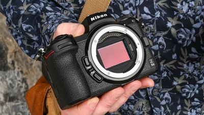 The Nikon Z6 II is a bargain, but I’d buy this budget full-frame camera instead