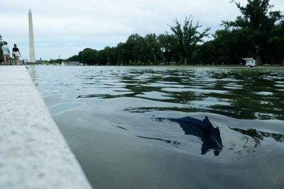 Trump’s blue paint at the Reflecting Pool is already chipping off as renovation costs soar to $14.7M