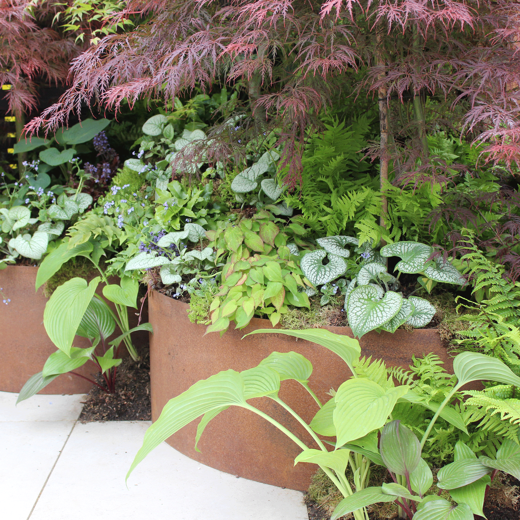 7 simple ways to make a north-facing garden feel brighter – these tricks will maximise light, colour and year-round interest