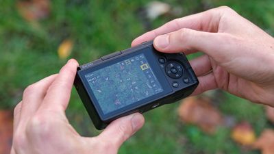Compact cameras are “not merely a passing trend.” The trendiest, hard-to-find cameras in Japan are all compact cameras – except for one