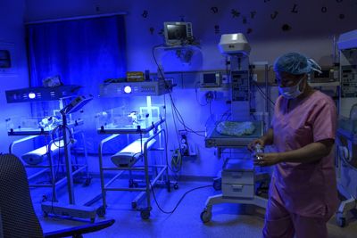 Premature Infants in NICUs Are Among the Most DEHP-Exposed Humans on Earth — and the New Anxiety Study Makes That Urgent