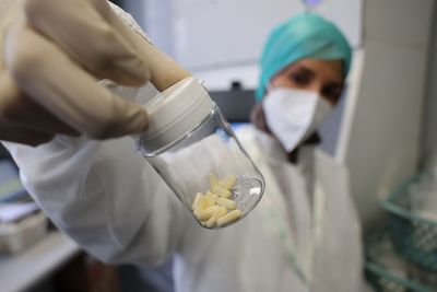 Daily Pill Cuts Sleep Apnea Breathing Pauses by 47% in Lancet Clinical Trial, Offering Hope for Alternative Treatment