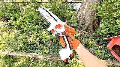 This Stihl hand pruner has been so popular with my neighbors that one of them is buying it for her husband for Father’s Day