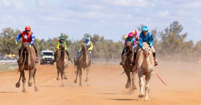 'A lot of holding on for dear life': Newcastle camel jockey's desert journey