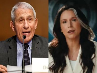 Tulsi Gabbard alleges Anthony Fauci funded Wuhan research in China that sparked COVID-19