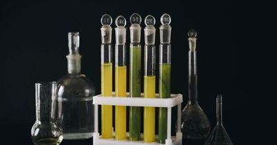 “Are You A Lab Rat?”: Challenge Your Mind With These 20 Science Questions
