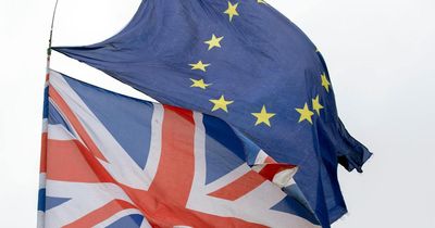 Britain could keep special terms if it re-joins the EU, former top negotiator says