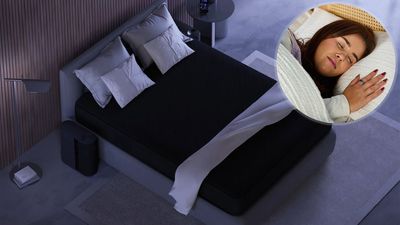A tech CEO bought his entire team this $3,000 smart mattress cover — here's why
